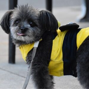 Meet your Posher, Mary